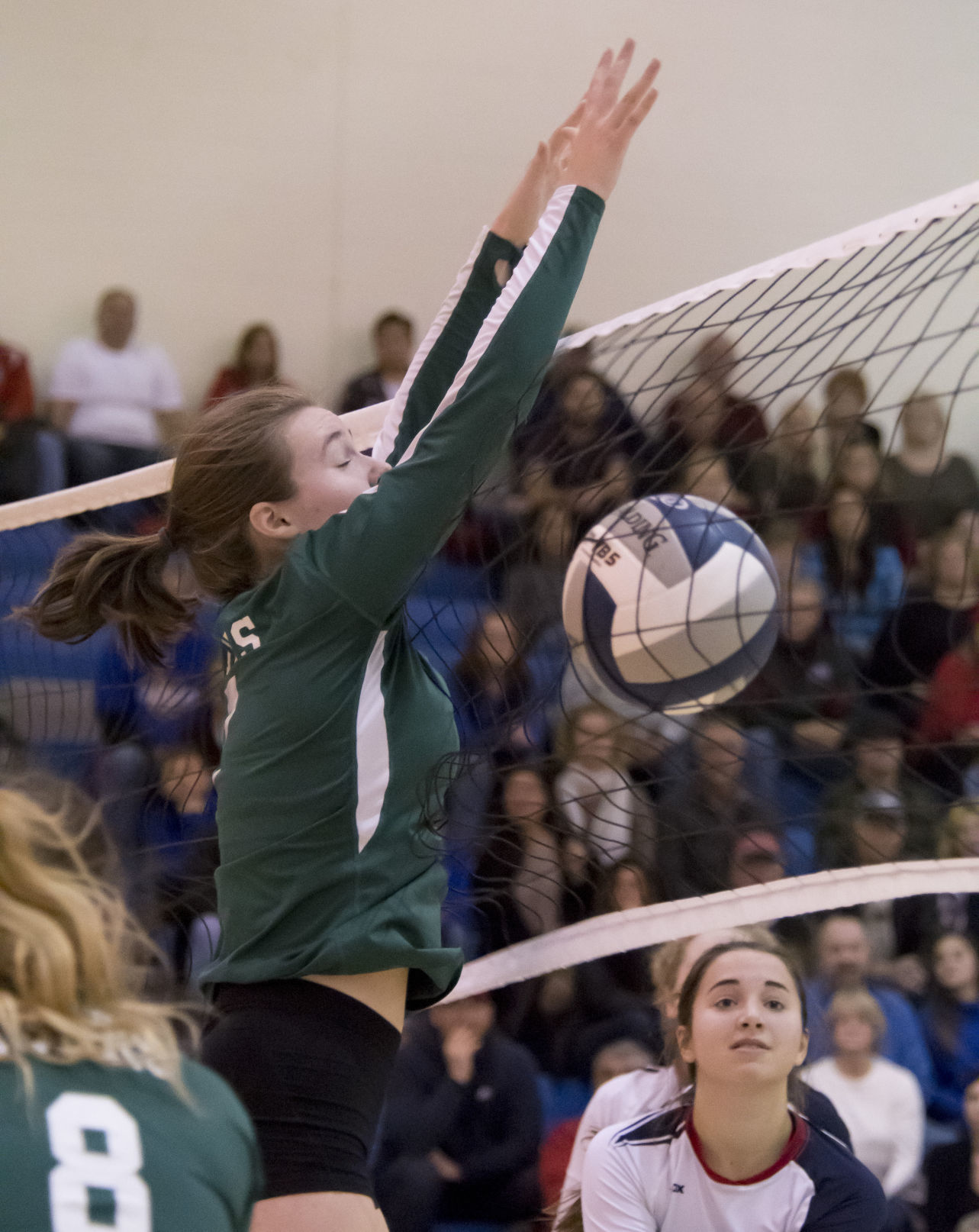 Volleyball sectionals